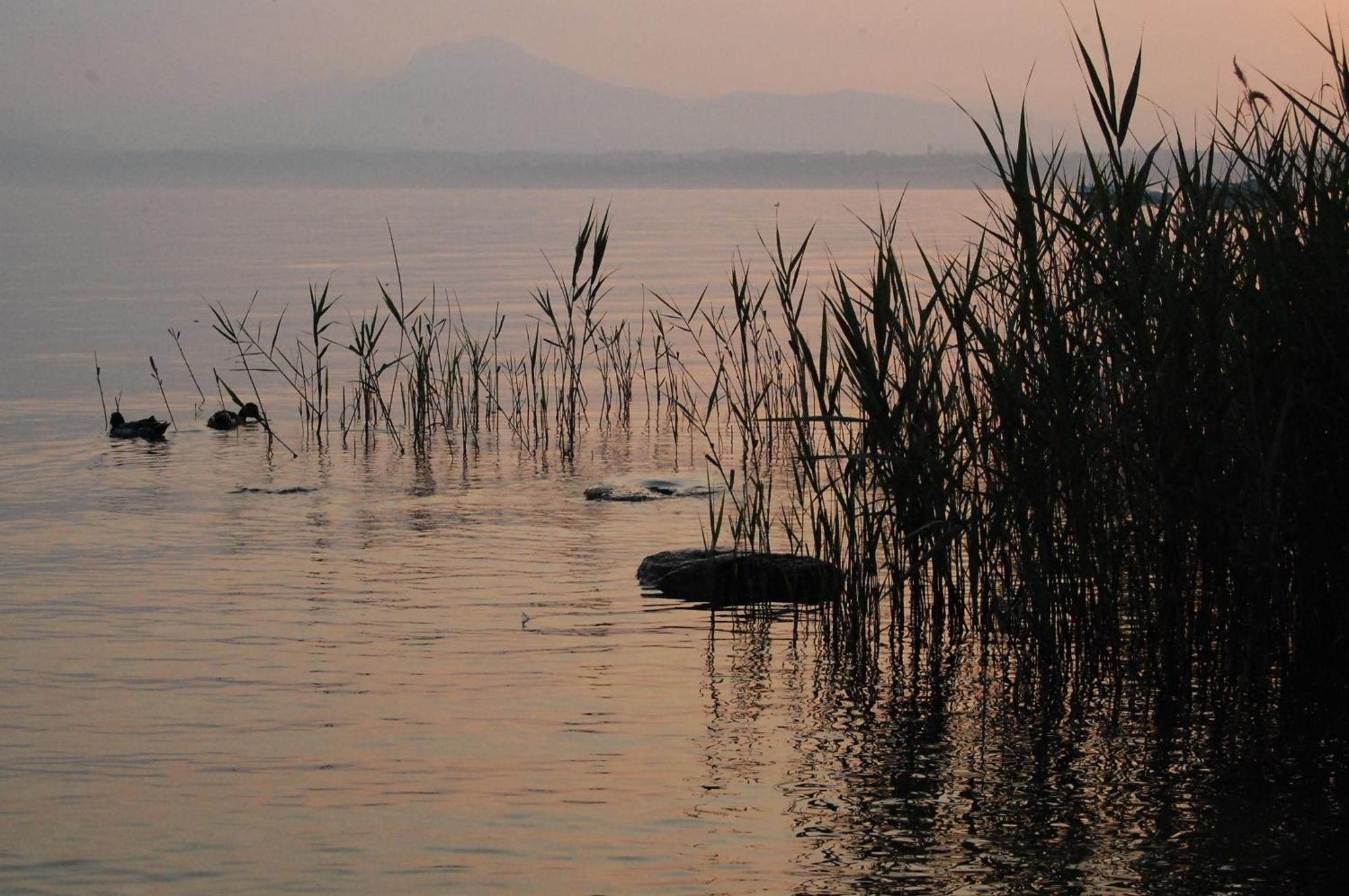 Relais Corte Bergamini Peschiera del Garda Dış mekan fotoğraf